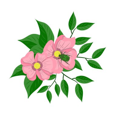 Beyaz arka planda pembe çiçekler ve yeşil böcek çizimi