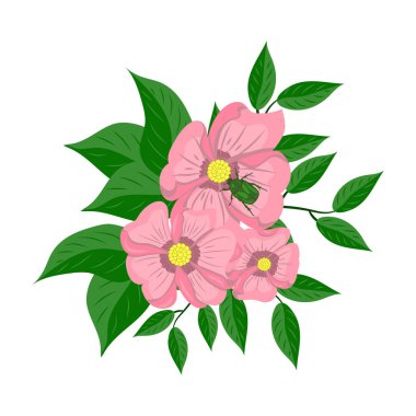 Beyaz arka planda pembe çiçekler ve yeşil böcek çizimi