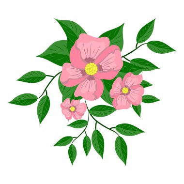 Beyaz arkaplanda pembe çiçekler çiziyor, vektör illüstrasyonu