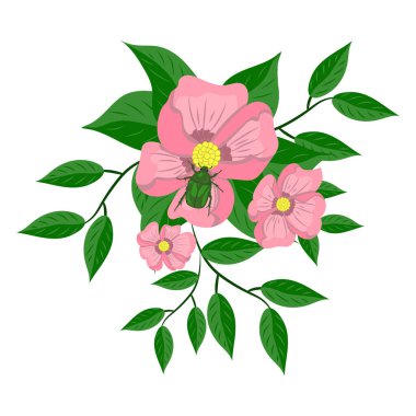 Beyaz arka planda pembe çiçekler ve yeşil böcek çizimi