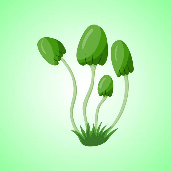 Green Mushrooms Vector Illustration — Stock Vector