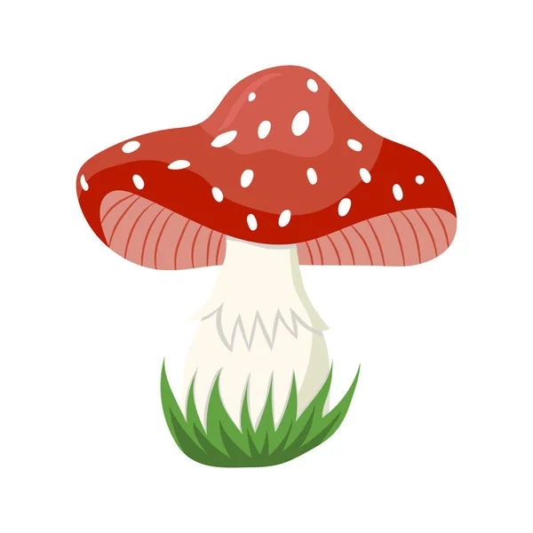 Amanita Muscaria Mushroom Иллюстрационный Вектор — стоковый вектор