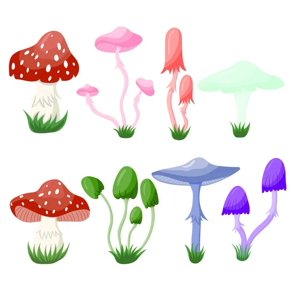 Vector Illustration Cartoon Mushrooms — Stock Vector