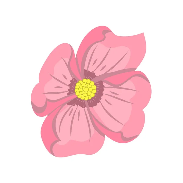 Flower of pink color, drawing on a white background