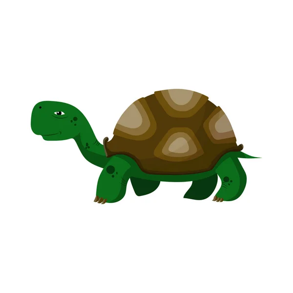 Schattige Schildpad Tekening Vector Illustratie — Stockvector