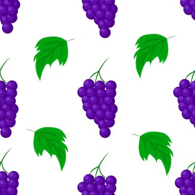Üzümlü kusursuz desen. vektör illüstrasyonu.