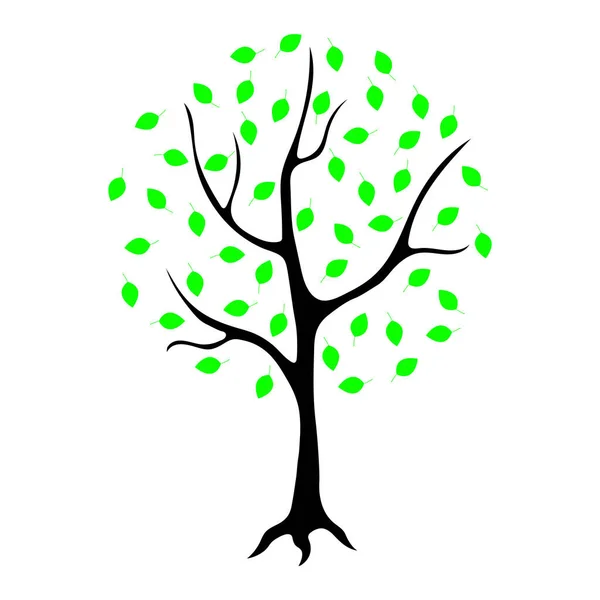 Árvore Com Folhas Verdes Fundo Branco — Vetor de Stock