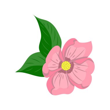 Yapraklı ve yapraklı güzel çiçekler vektör illüstrasyon tasarımı