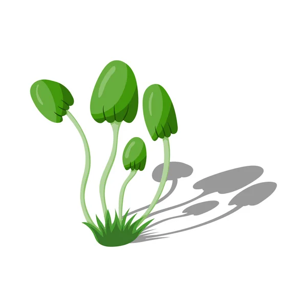 Wektor Ilustracja Zielonego Białego Kwiatu — Wektor stockowy