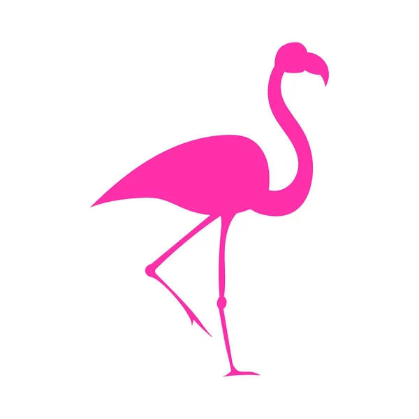 Flamingo Pictogram Vector Illustratie Ontwerp Template — Stockvector