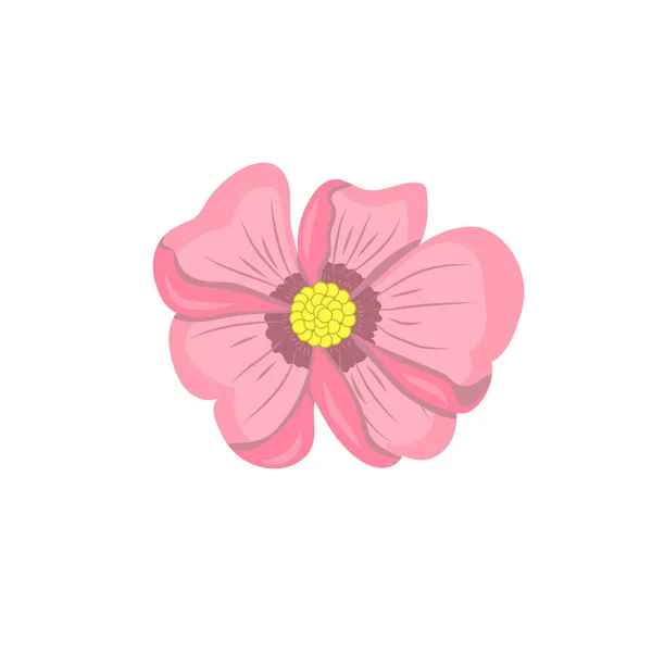 Flor Rosa Com Folhas Flores Design Ilustração Vetorial — Vetor de Stock