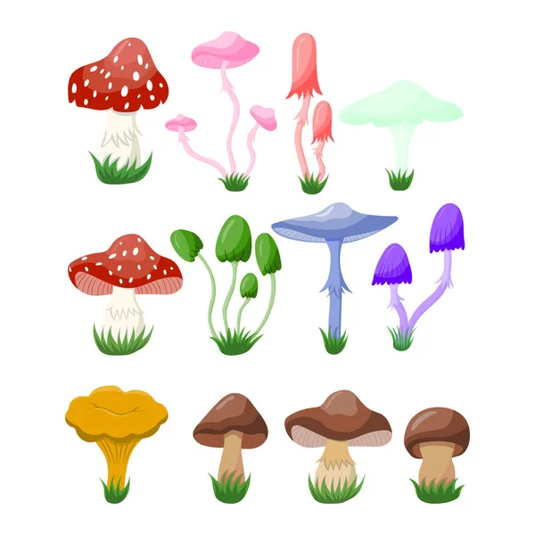 Vectorillustratie Van Champignons Champignonpictogram Verzameling Van Het Symbool Van Giftige — Stockvector