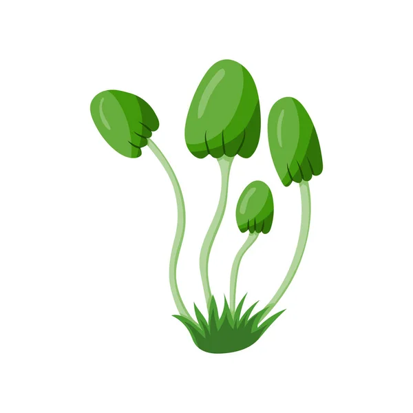 Zielona Trawa Liśćmi Kwiatami Wektor Ilustracja Projekt — Wektor stockowy