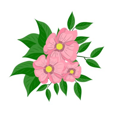 Beyaz arkaplan vektör illüstrasyonunda pembe çiçekler