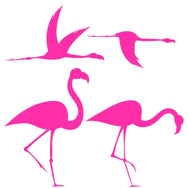 Set Silhouetten Van Flamingo Een Witte Achtergrond — Stockvector