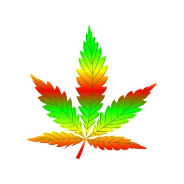 beyaz arkaplanda izole edilmiş renkli kenevir yaprağı