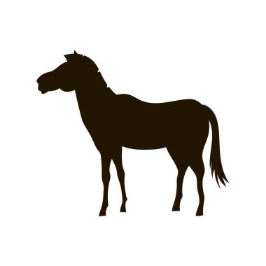 Siyah at silueti beyaz arkaplanda izole edildi