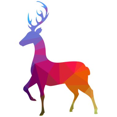 Renkli geyik bembeyaz