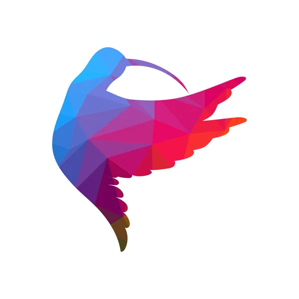 Летящая Цветная Колибри Изолированная Белом — стоковый вектор