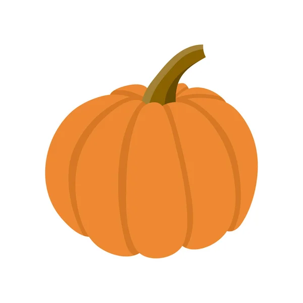 Icono Calabaza Aislado Blanco — Vector de stock