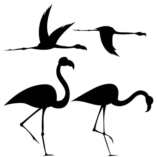 Ilustração Vetorial Silhuetas Pássaros —  Vetores de Stock