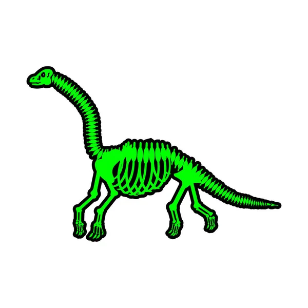 Esqueleto Dinossauro Desenho Sobre Fundo Branco Ilustração Vetorial —  Vetores de Stock