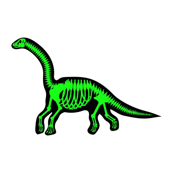 Esqueleto Dinosaurio Dibujo Sobre Fondo Blanco Ilustración Vectorial — Vector de stock