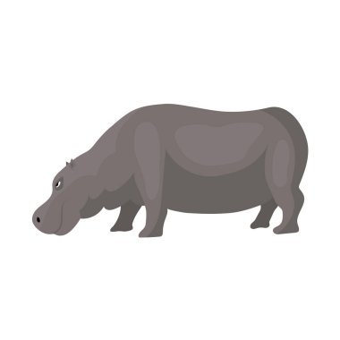 Gri su aygırları beyaz üzerinde izole edilmiş.