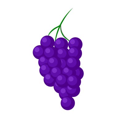üzüm ikonu vektör illüstrasyonu