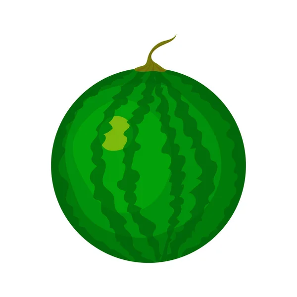 Vektorillustration Einer Grünen Wassermelone — Stockvektor