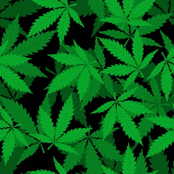 Padrão Vetorial Com Folhas Cannabis Fundo Preto Ilustração Moderna — Vetor de Stock