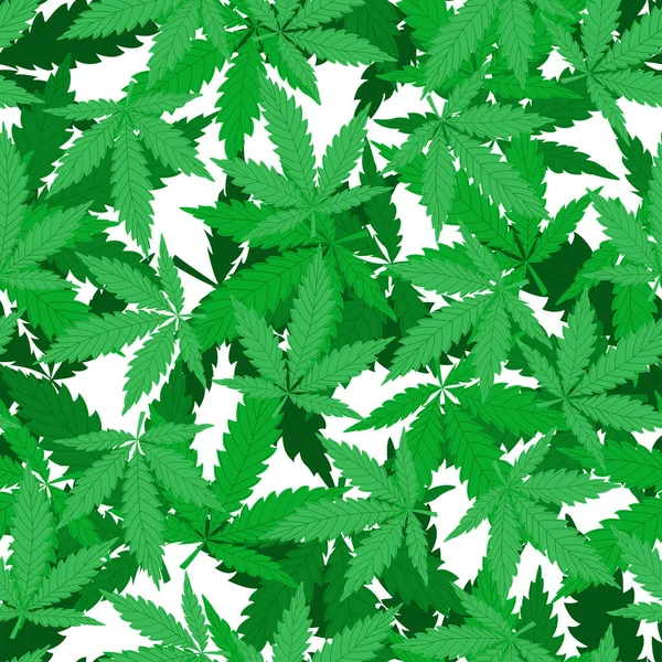 Padrão Vetorial Com Folhas Cannabis Fundo Branco Ilustração Moderna — Vetor de Stock