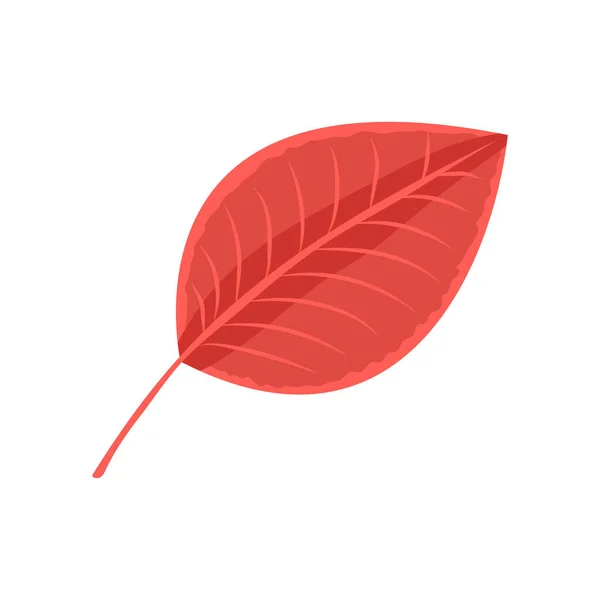 Leaf 아이콘 일러스트 — 스톡 벡터