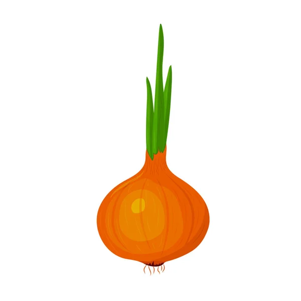 Icône Oignon Illustration Vectorielle Légumes Frais — Image vectorielle