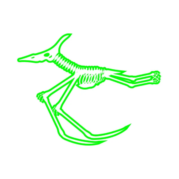Beyaz Arkaplanda Dinozor Iskeleti Çizimi Vektör Illüstrasyonu — Stok Vektör