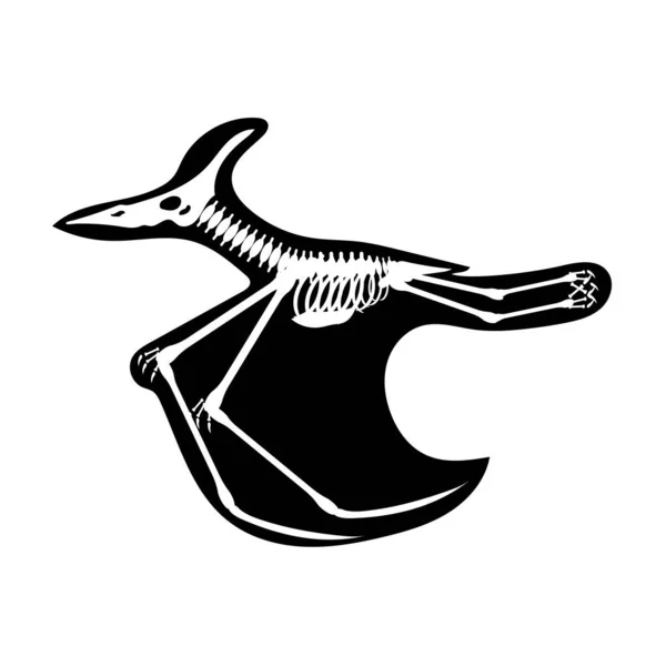 Beyaz Arkaplanda Dinozor Iskeleti Çizimi Vektör Illüstrasyonu — Stok Vektör