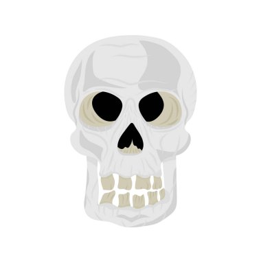 Beyaz arkaplanda kafatası çizimi 