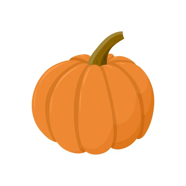 Icono Calabaza Aislado Blanco — Vector de stock