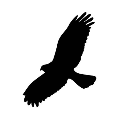 kartal silueti çizimi, vektör çizimi