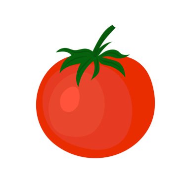 Beyaz arkaplanda domates çizimi, vektör illüstrasyonu