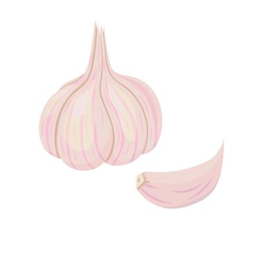 Beyaz arkaplanda sarımsak çizimi