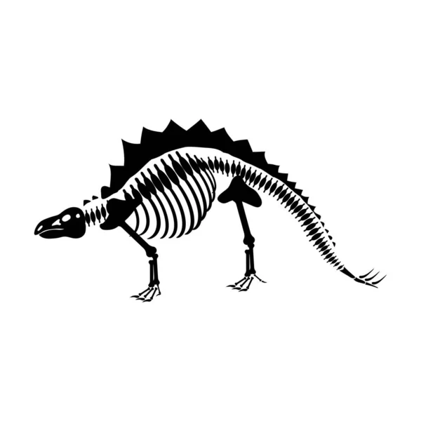 白い背景にステゴサウルスの骨格図 — ストックベクタ