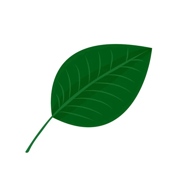 Grönt Löv Ett Träd Ritning Vit Bakgrund — Stock vektor