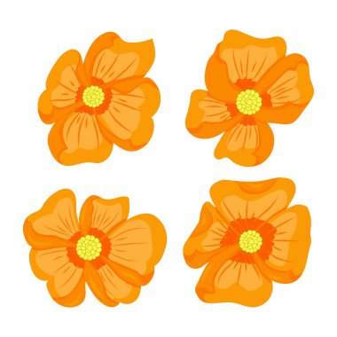 Turuncu çiçek seti, vektör illüstrasyonu
