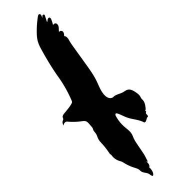 Beyaz arkaplanda kartal silueti çizimi