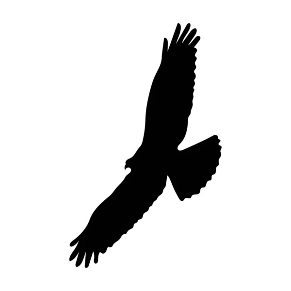 Adler Silhouette Zeichnung Auf Weißem Hintergrund — Stockvektor