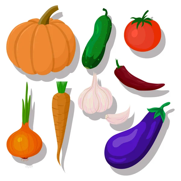 Set Drawing Vegetables Vector Illustration — Stock Vector