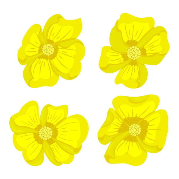 Set Yellow Flowers Vector Illustration - Stok Vektor