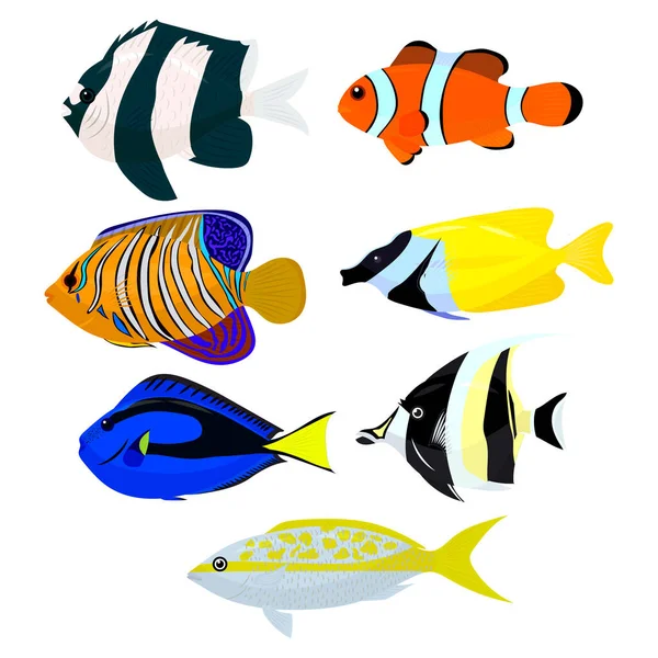 Set Tropische Vissen Vectorillustratie — Stockvector