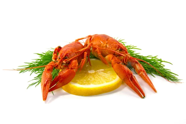 Comida de lagostim cozida — Fotografia de Stock